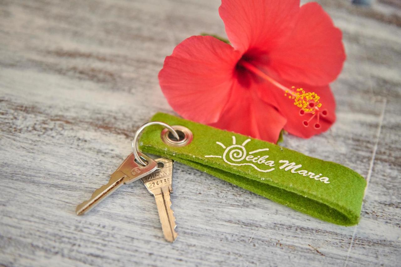 Casa Ceiba Maria Guest house Cala d'Or (Mallorca)