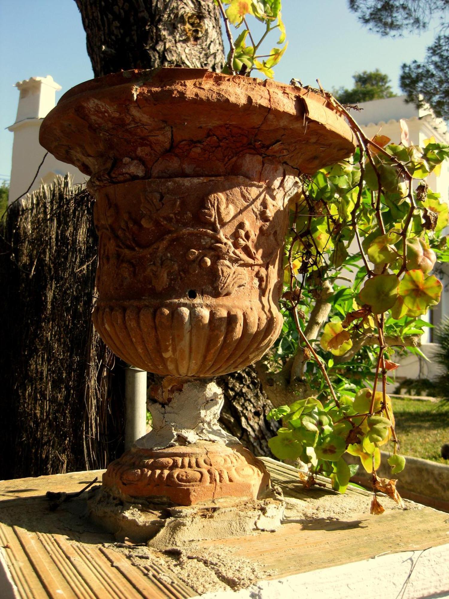 Guest house Casa Ceiba Maria Cala d'Or (Mallorca)