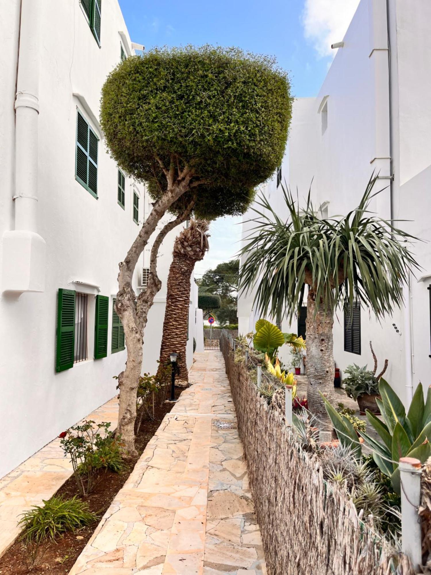Casa Ceiba Maria Guest house