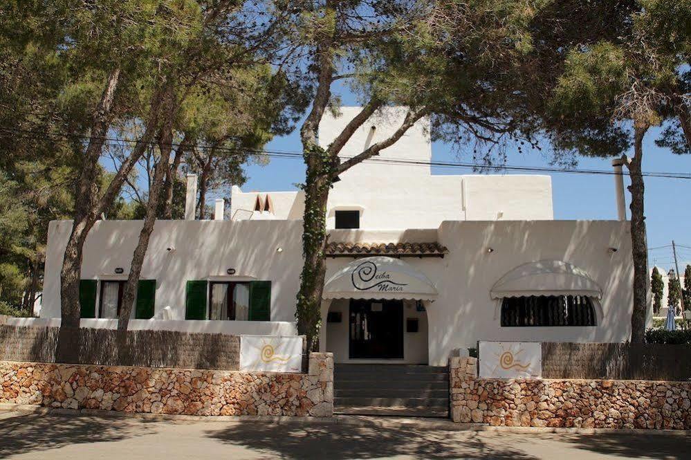 Casa Ceiba Maria